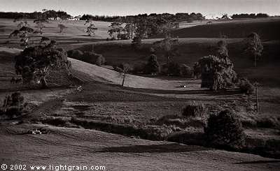 countryside near Timboon Victoria Australia