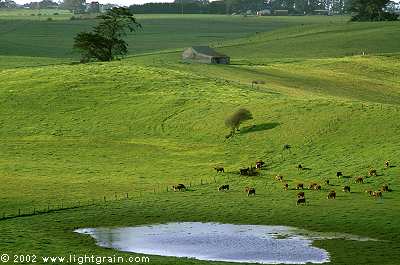 Woodford Valley near Warrnambool Australia