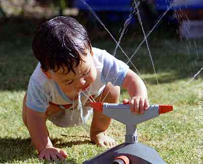 toddler drinking from garden sprinkler