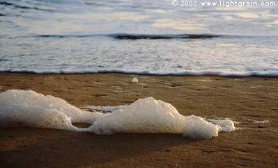 foam on beach