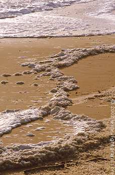 foam lines on sandy beach