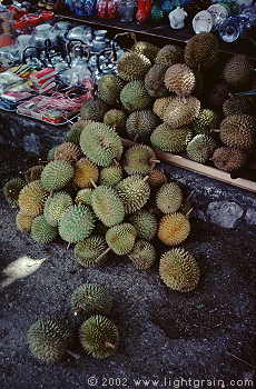 Durian fruit, Malaysia